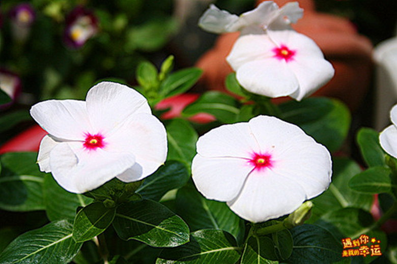 ��Ƭ 038_����.jpg