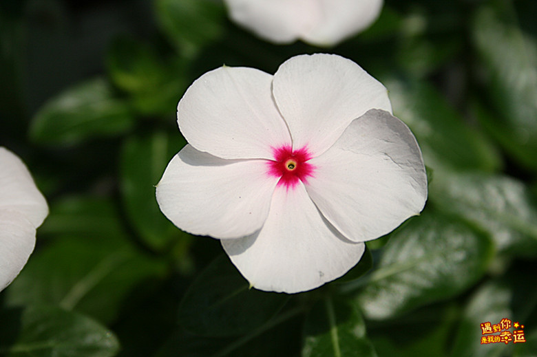 ��Ƭ 040_����.jpg