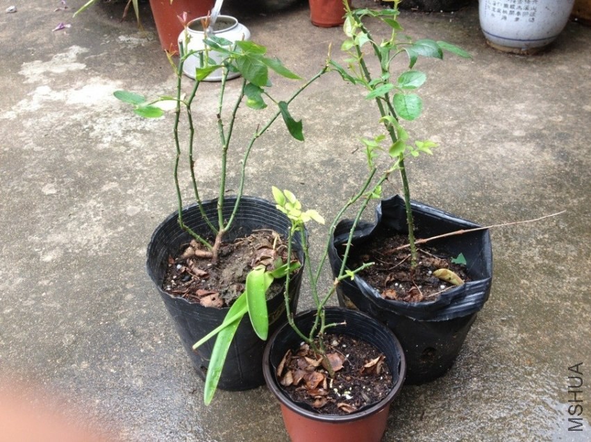 QQͼƬ20130722201431.jpg