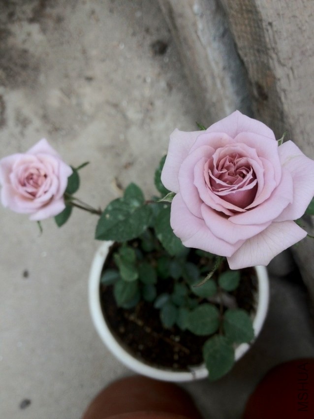 QQͼƬ20130722201421.jpg