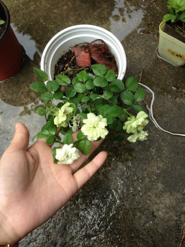 QQͼƬ20130722201449.jpg