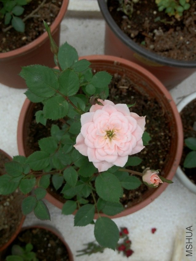 QQͼƬ20130722202339.jpg
