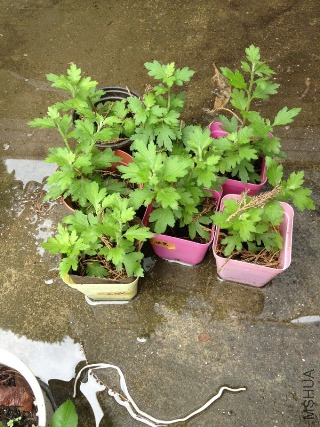 QQͼƬ20130722201452.jpg