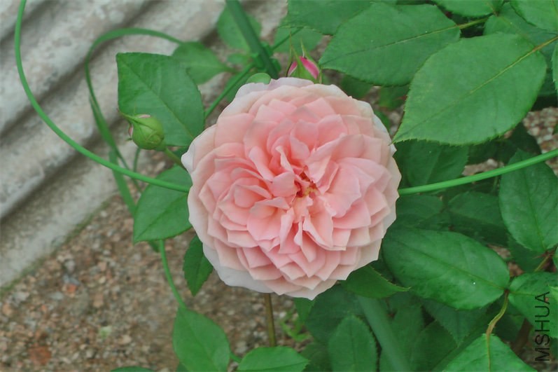 IMGA0004.JPG