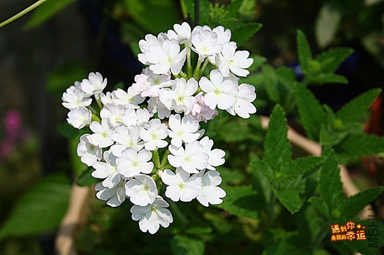 ��Ƭ 090_����.jpg