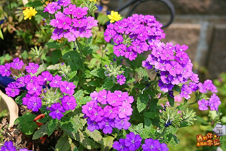 ��Ƭ 091_����.jpg