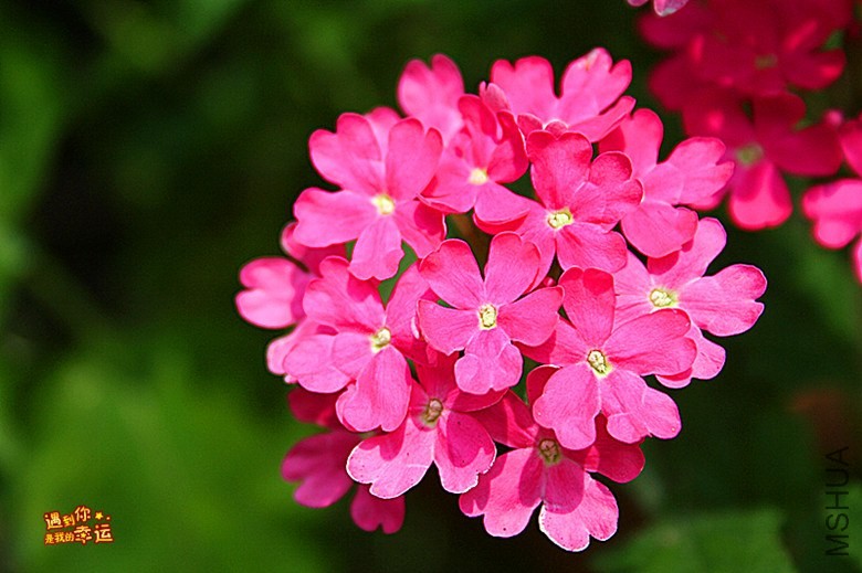 ��Ƭ 101_����.jpg