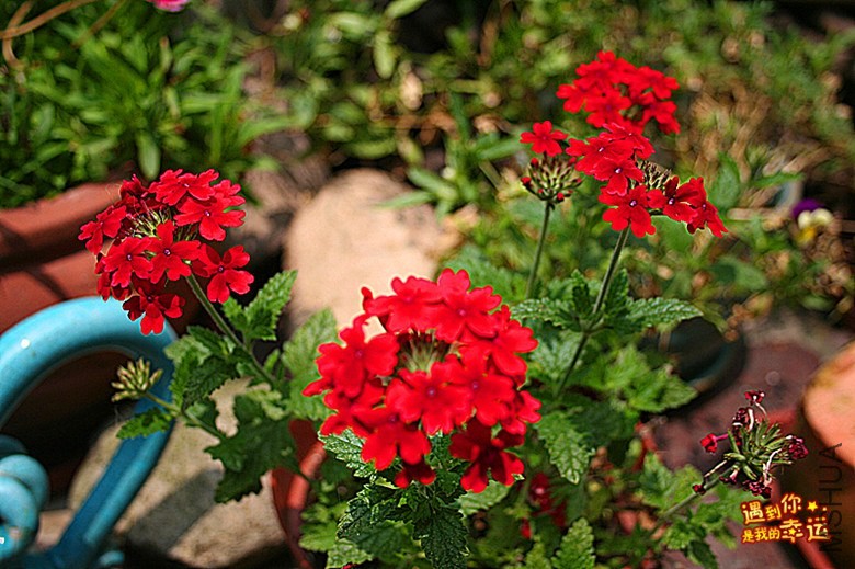 ��Ƭ 102a_����.jpg