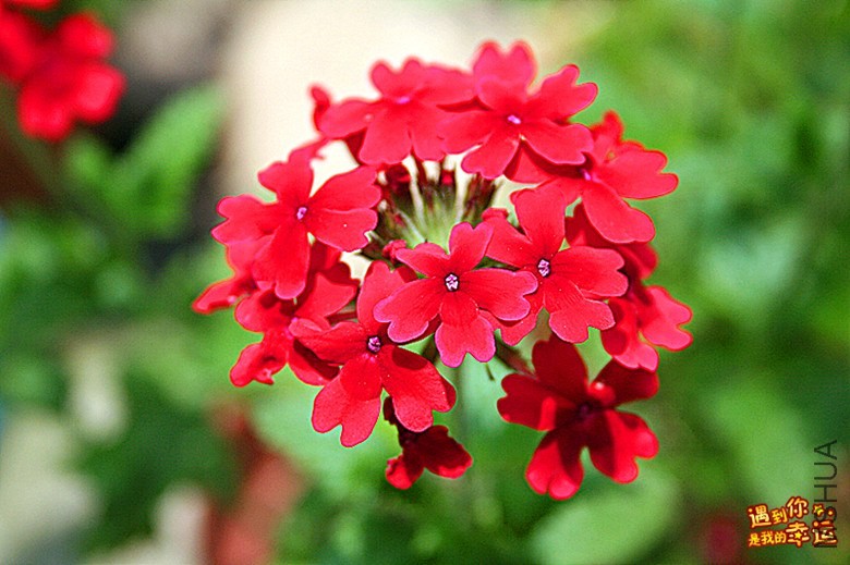 ��Ƭ 102b_����.jpg