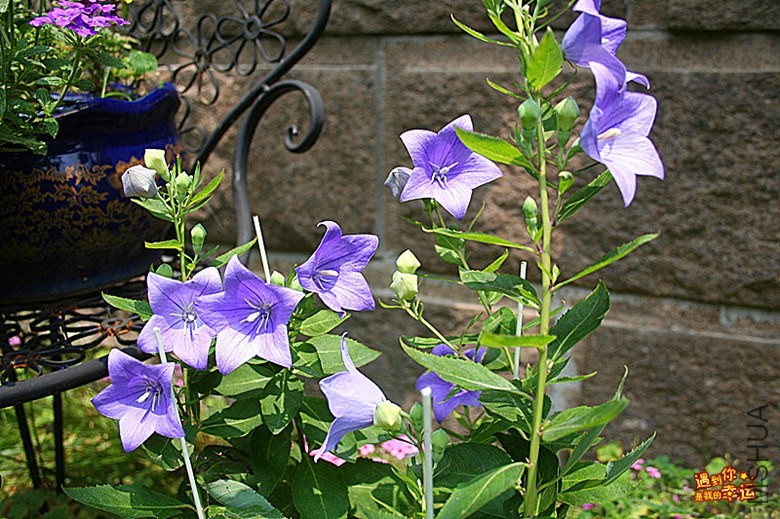 ��Ƭ 076_����.jpg