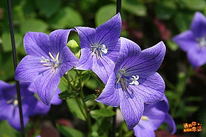 ��Ƭ 078_����.jpg