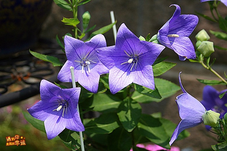 ��Ƭ 082_����.jpg