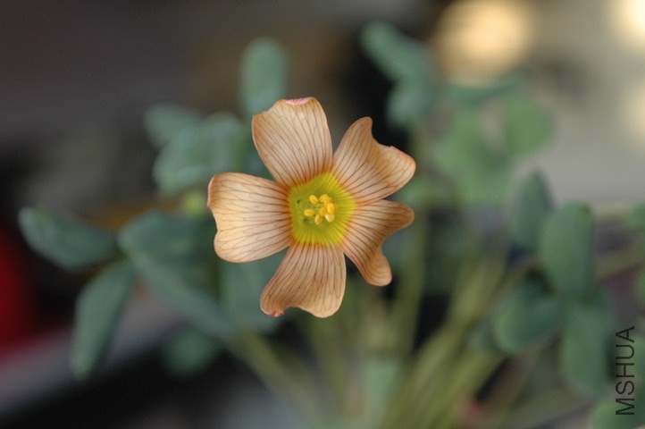 DSC_3889.jpg