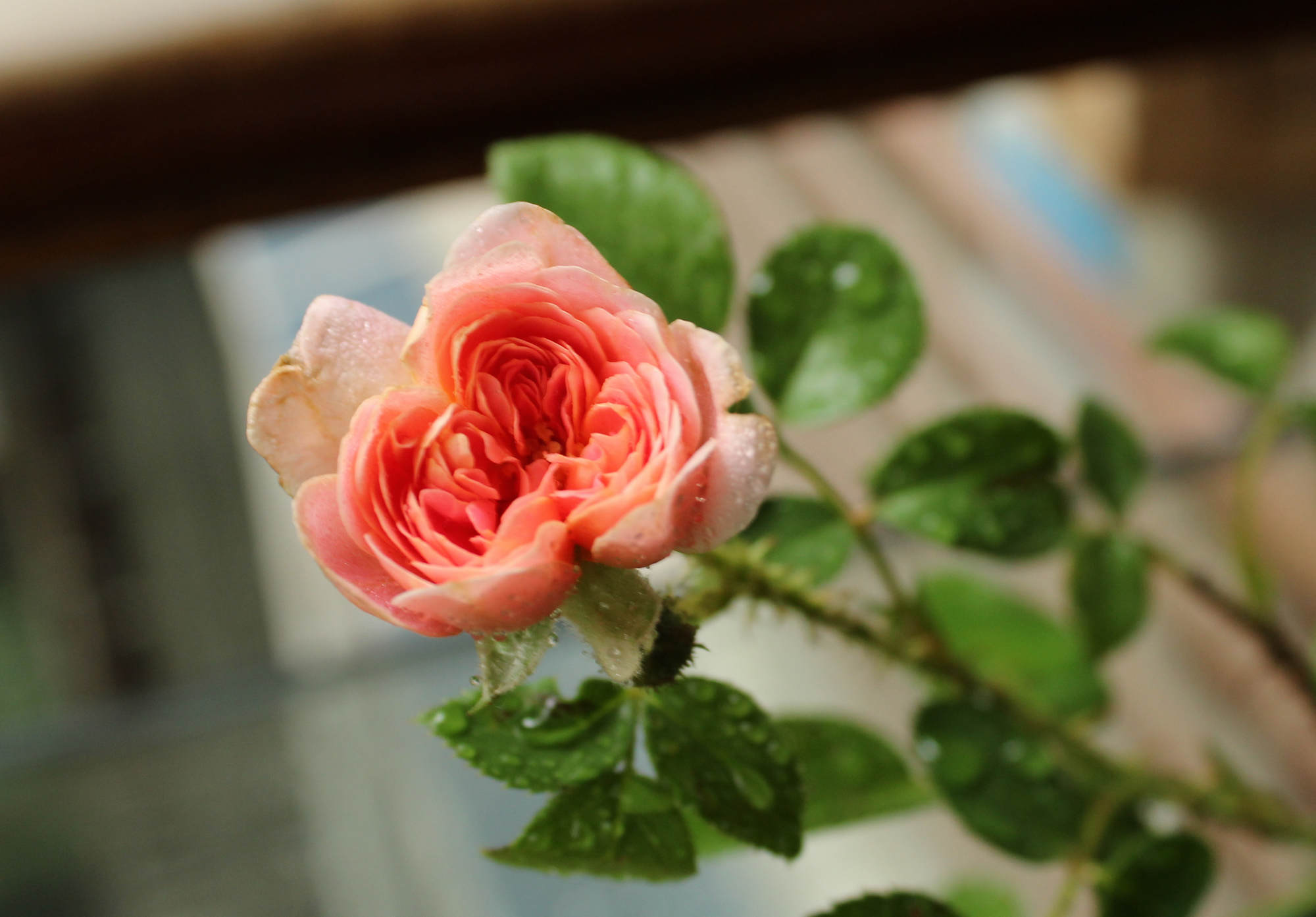 20130721���ػ�1.jpg