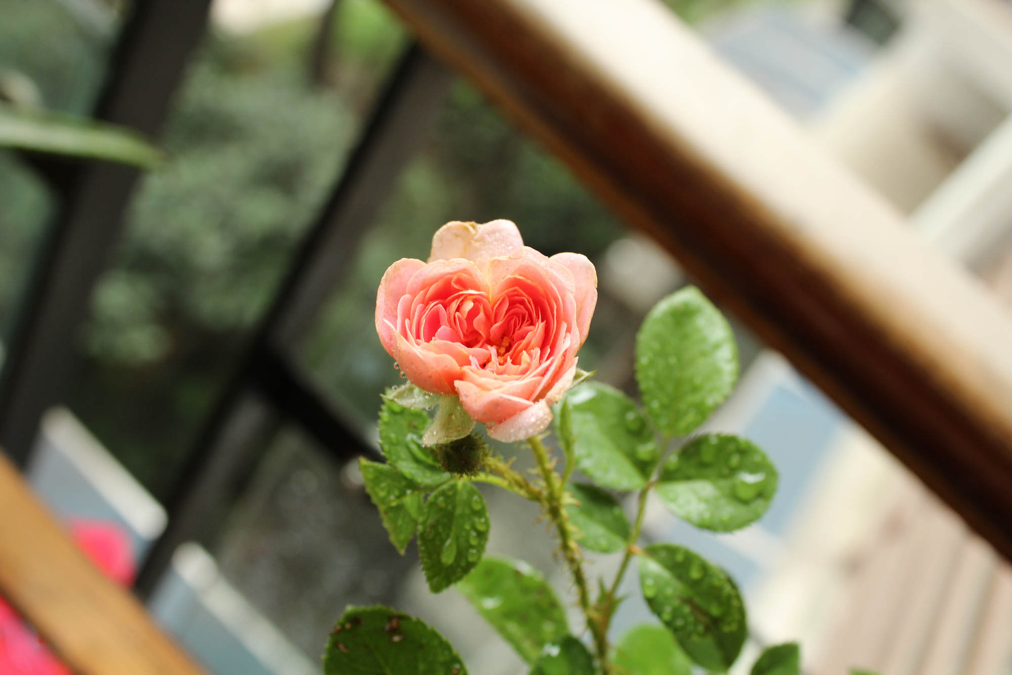 20130721���ػ�1-2.jpg