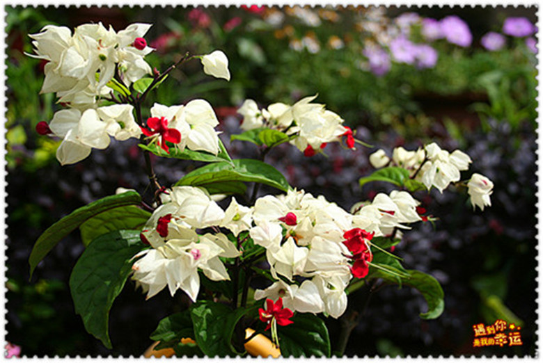 ��Ƭ 030_����_����.jpg