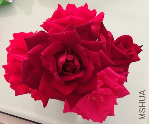 ��Ƭ 009_����.jpg