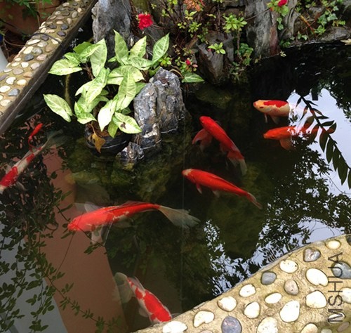 ��Ƭ 003_����.jpg