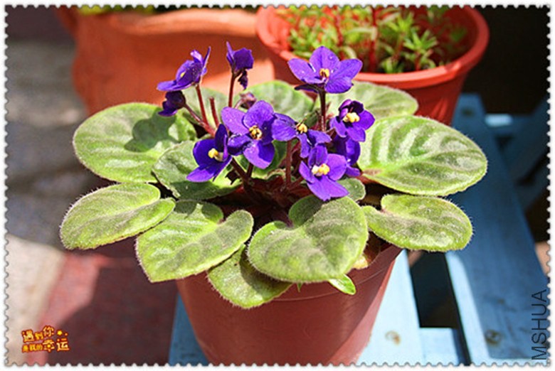 ��Ƭ 052_����_����.jpg