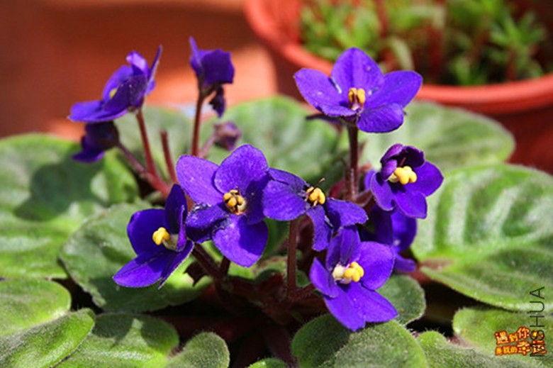 ��Ƭ 055_����_����.jpg