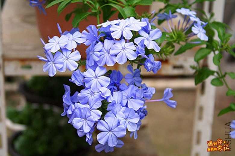 ��Ƭ 078_����_����.jpg