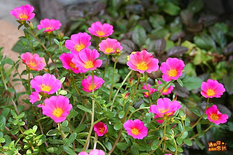 ��Ƭ 060_����.jpg