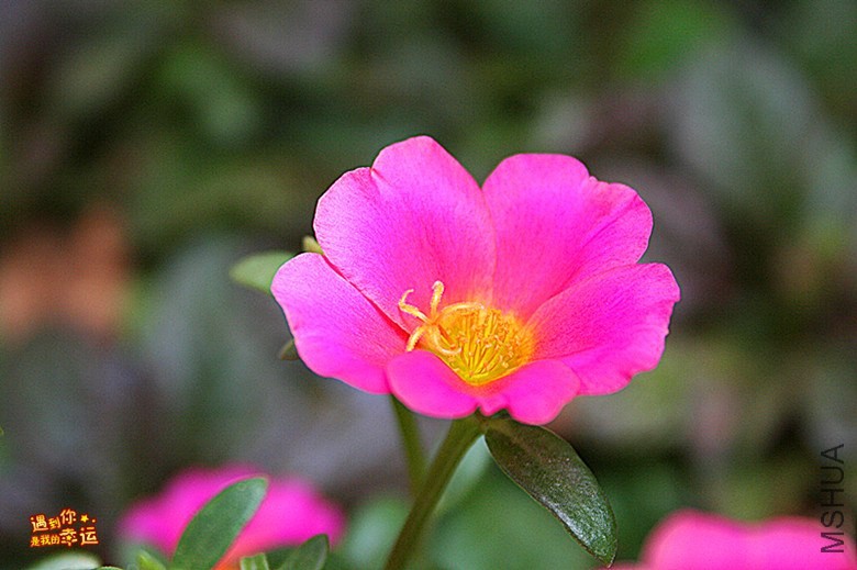 ��Ƭ 064_����.jpg