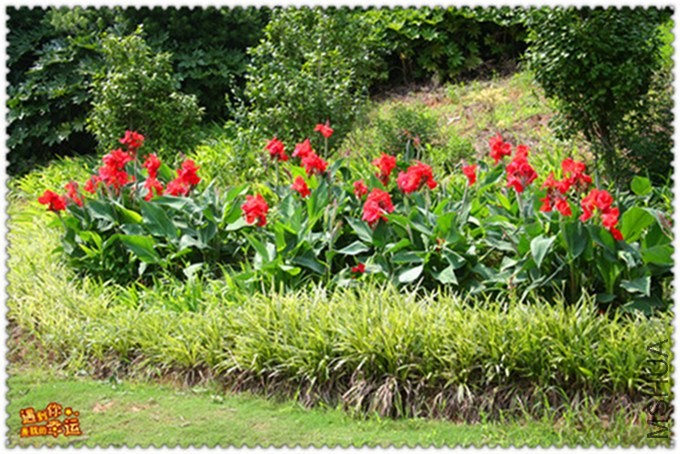 ��Ƭ 080_����_����.jpg