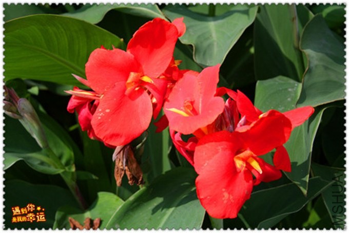 ��Ƭ 082_����_����.jpg