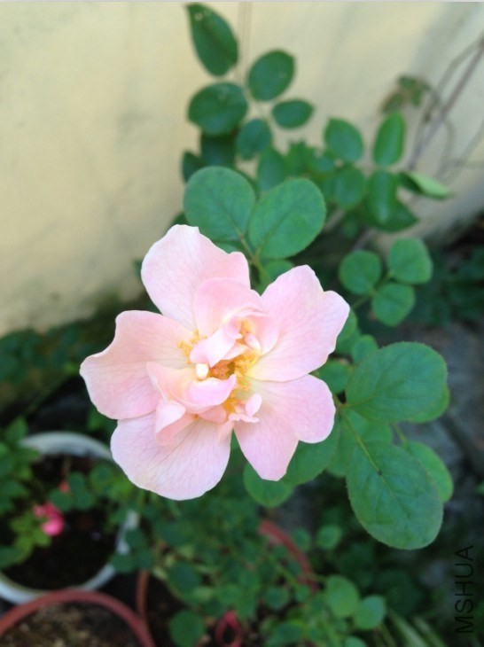 QQͼƬ20130725083905.jpg