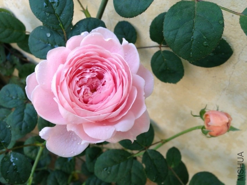 3�·ݳ��������ӡ�