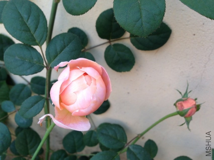 3�·ݳ��������ӡ�