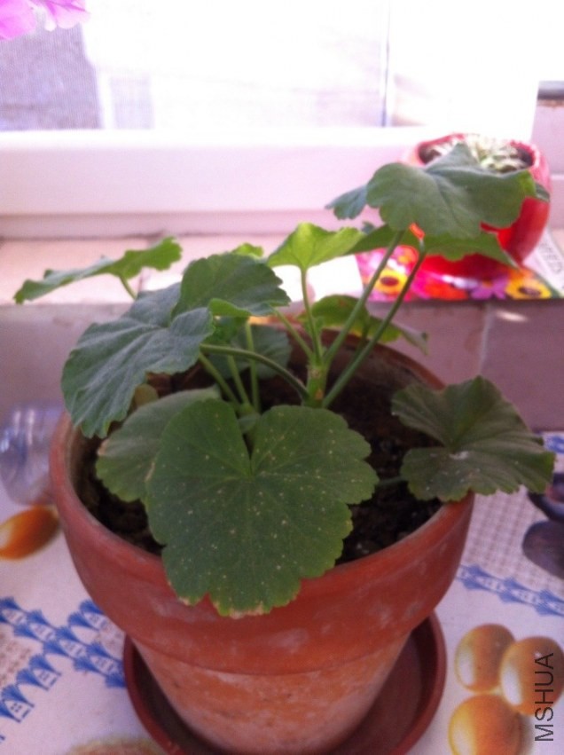 QQͼƬ20130725095424.jpg