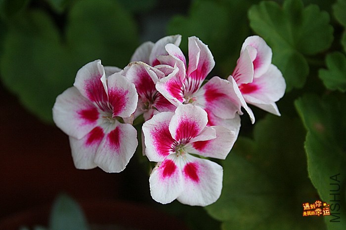 ��Ƭ 012_����.jpg