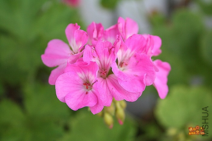 ��Ƭ 019_����.jpg