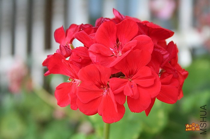 ��Ƭ 041_����.jpg