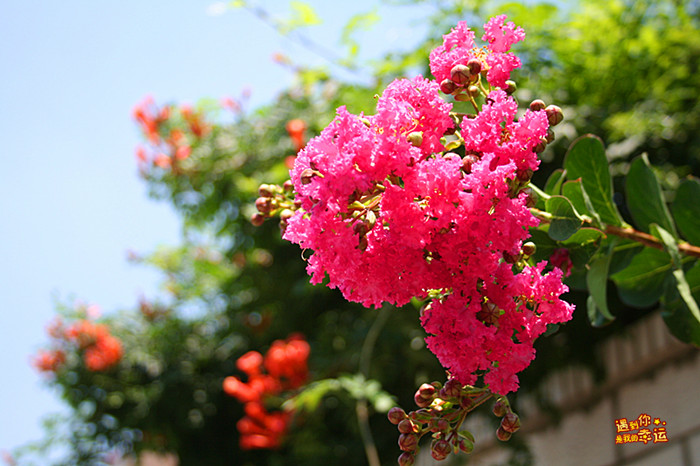 ��Ƭ 110_����.jpg