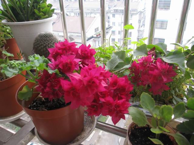 ������С IMG_3987.jpg