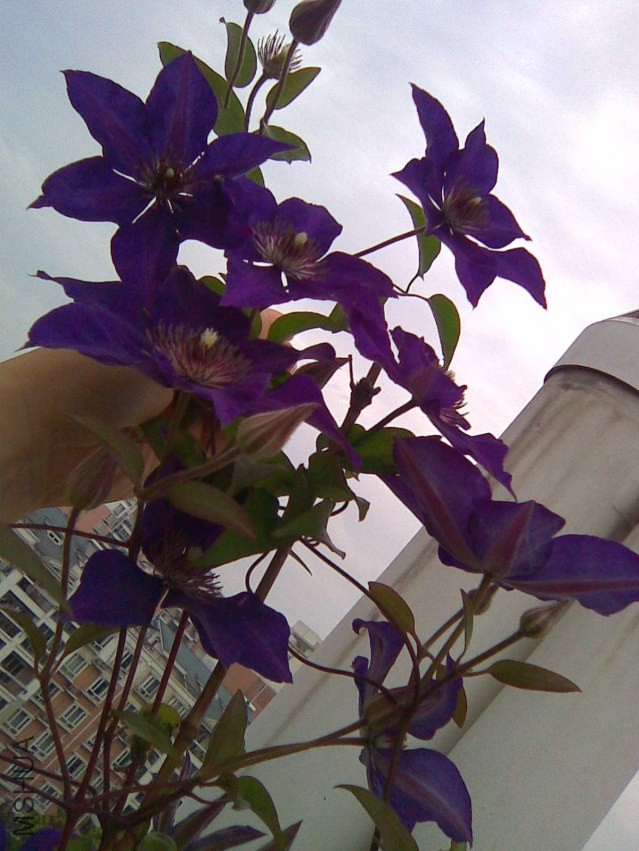 06062012_001.jpg