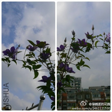 201206-02.jpg