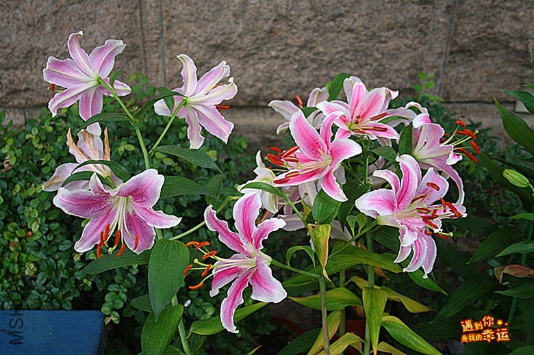 ��Ƭ 014_����.jpg