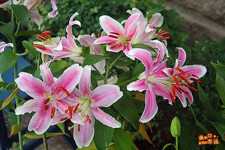 ��Ƭ 015_����.jpg