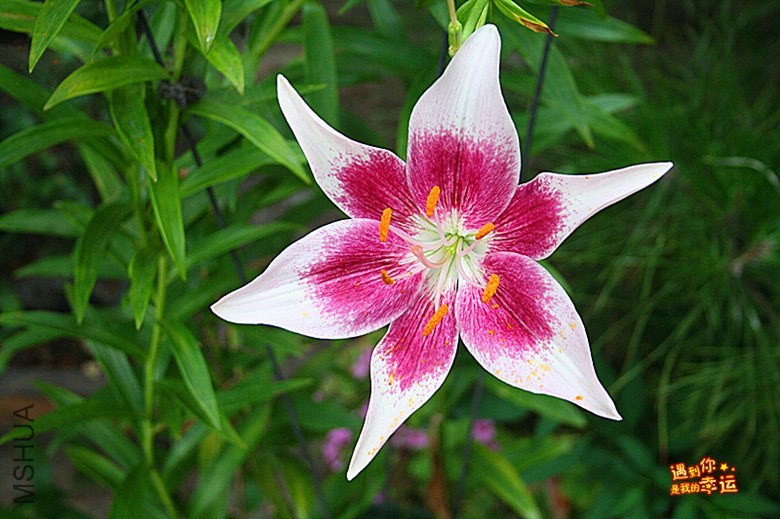 ��Ƭ 016_����.jpg