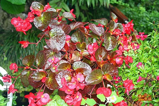 ��Ƭ 019_����_����.jpg