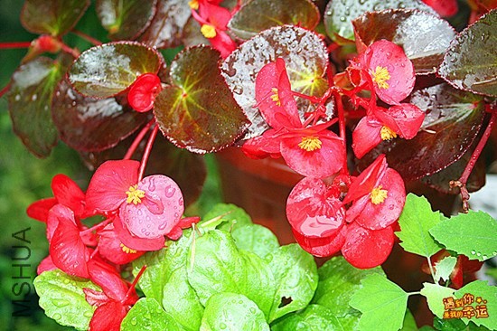 ��Ƭ 021_����_����.jpg