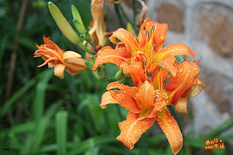 ��Ƭ 025_����.jpg