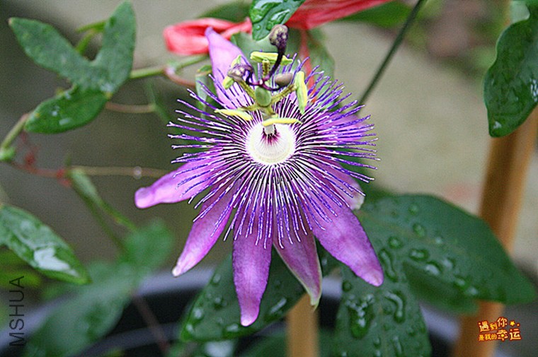 ��Ƭ 040_����_����.jpg