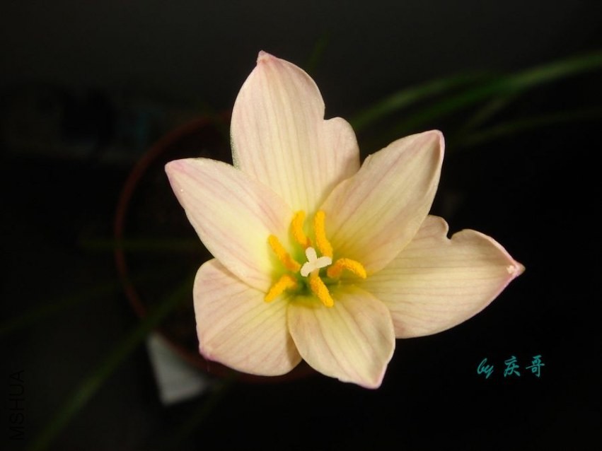 nEO_IMG_DSC06138.jpg