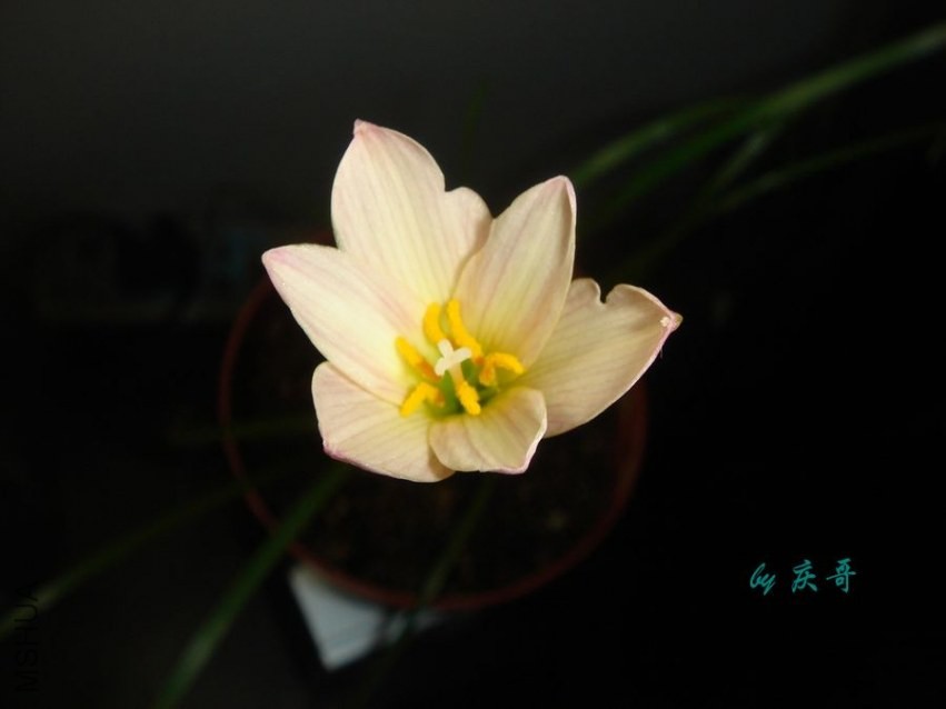 nEO_IMG_DSC06136.jpg