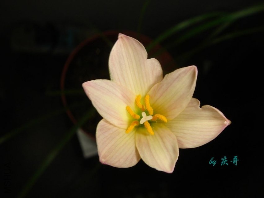 nEO_IMG_DSC06137.jpg